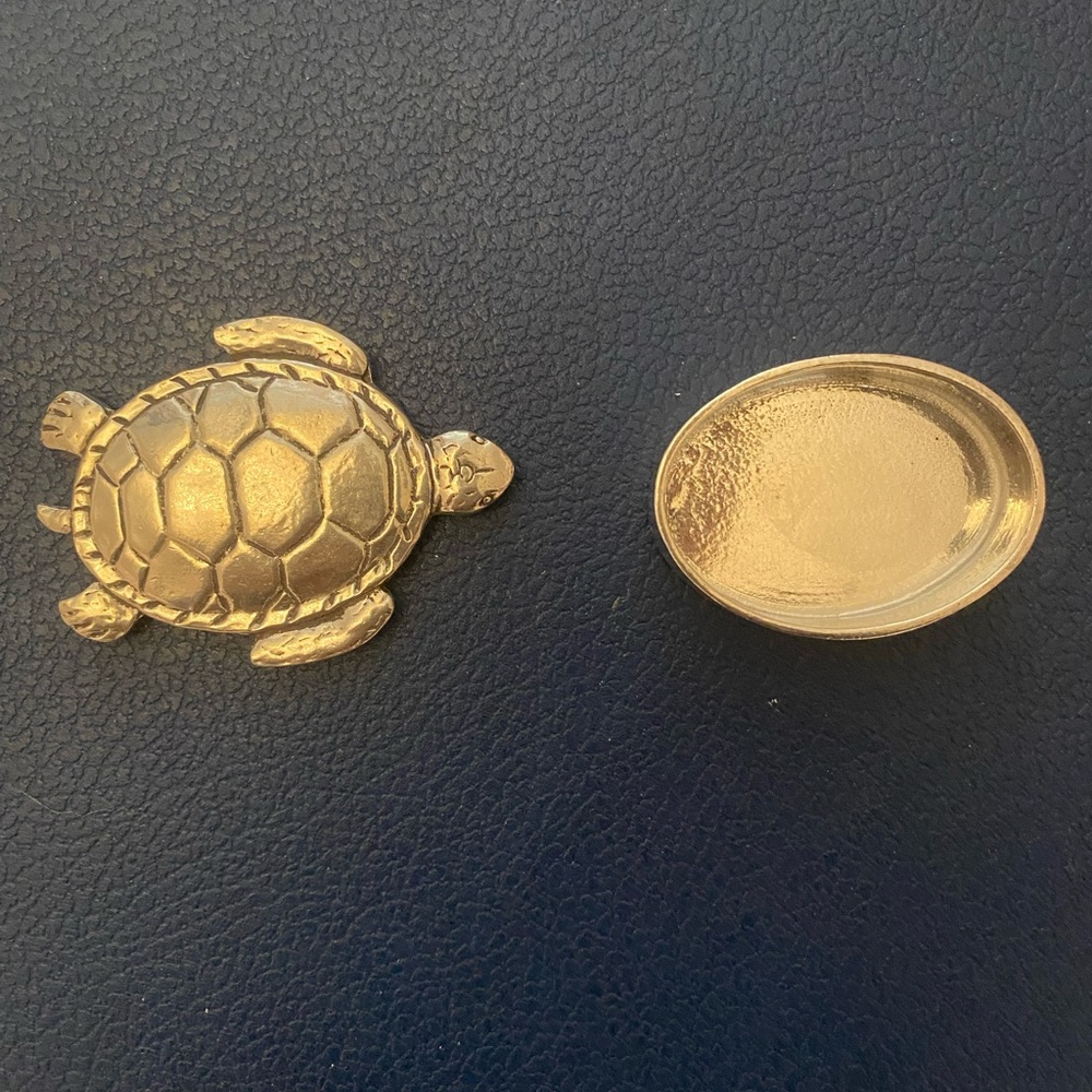 Small turtle box